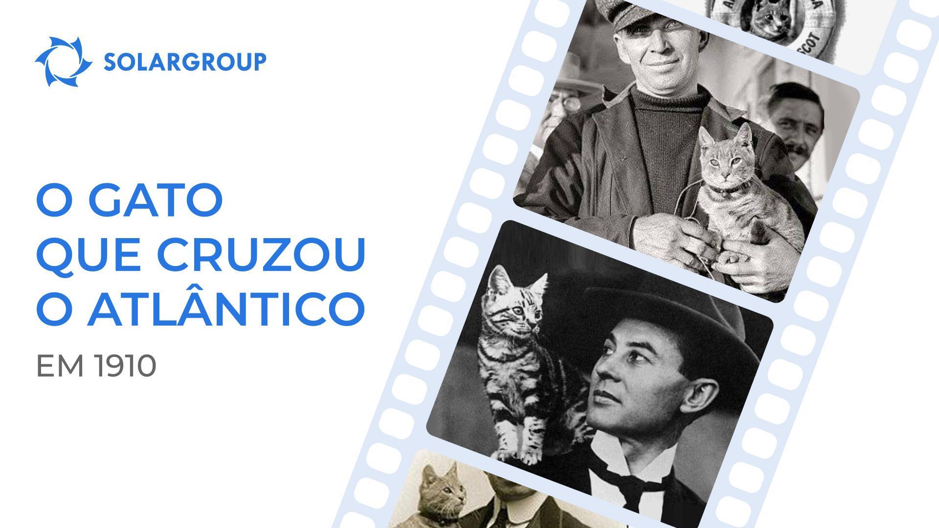 O gato que em tempos voou num dirigível