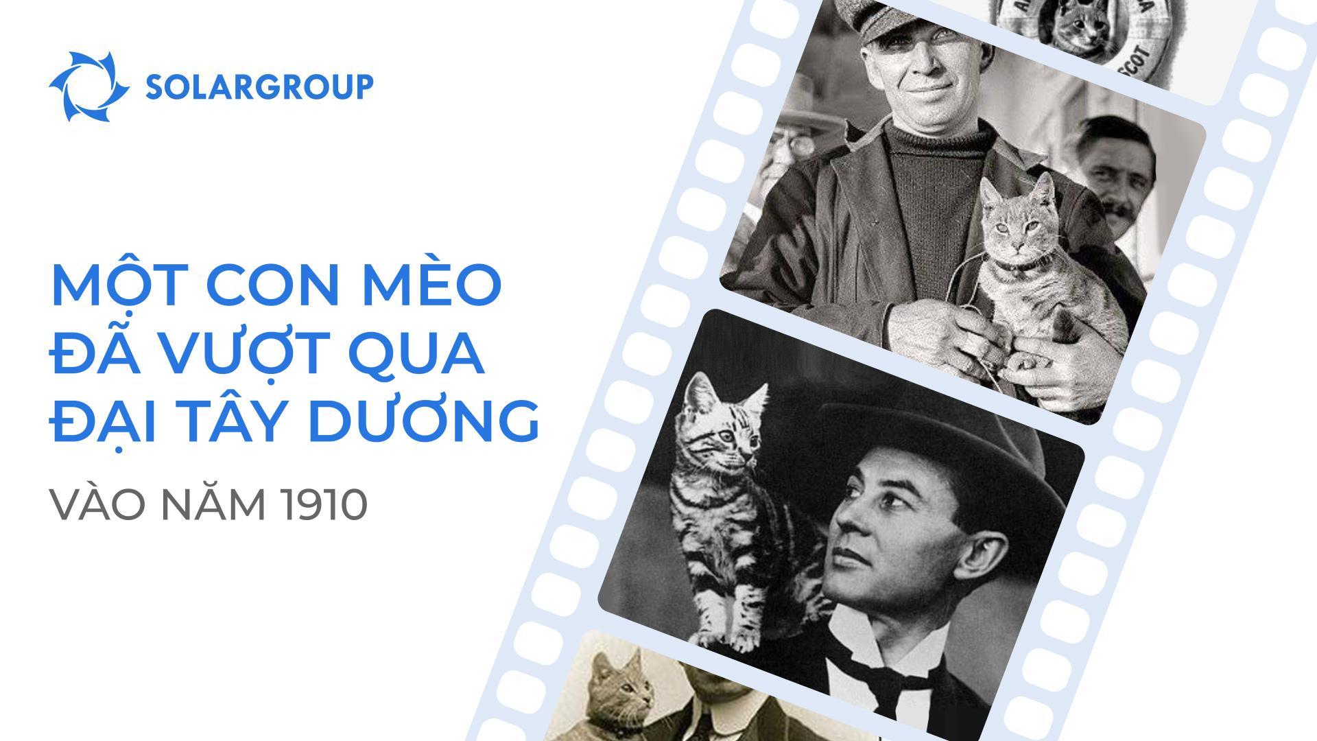 Một con mèo đã từng bay trên khí cầu