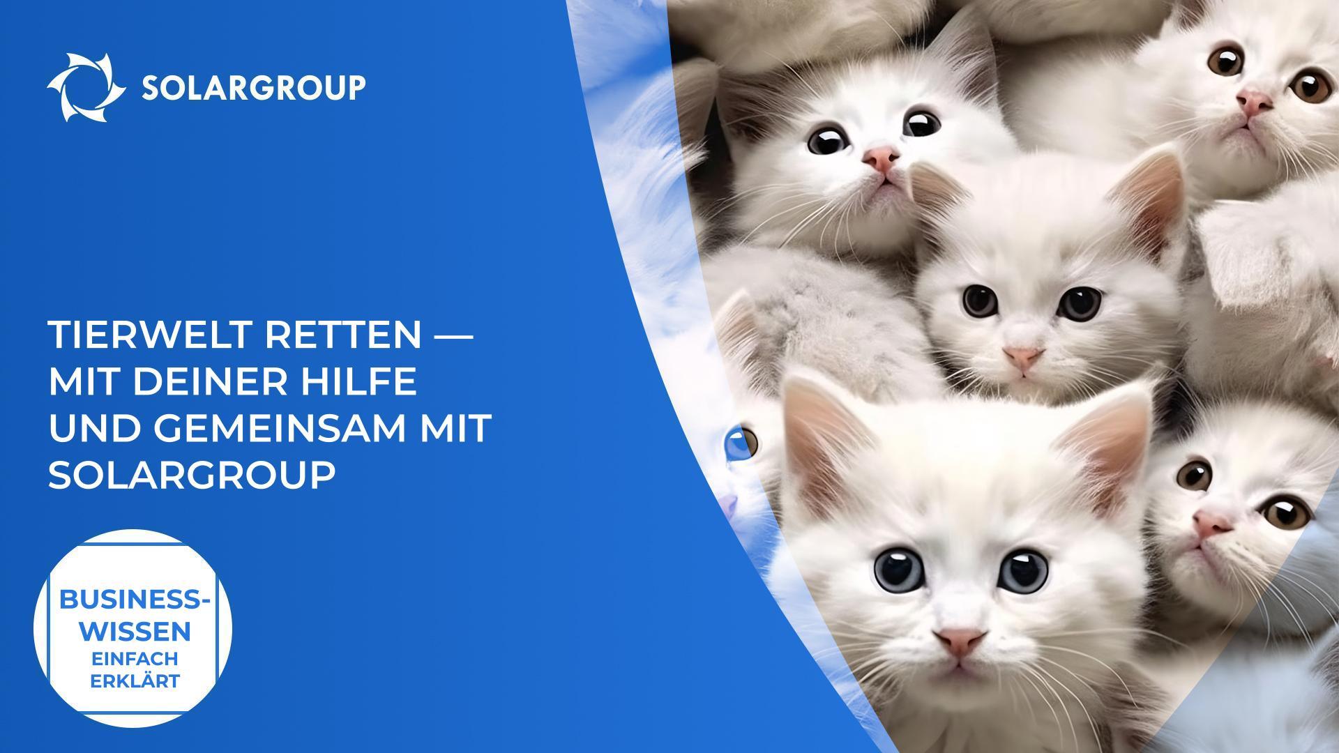 Tierwelt retten — mit Deiner Hilfe und gemeinsam mit SOLARGROUP | Business-Wissen einfach erklärt