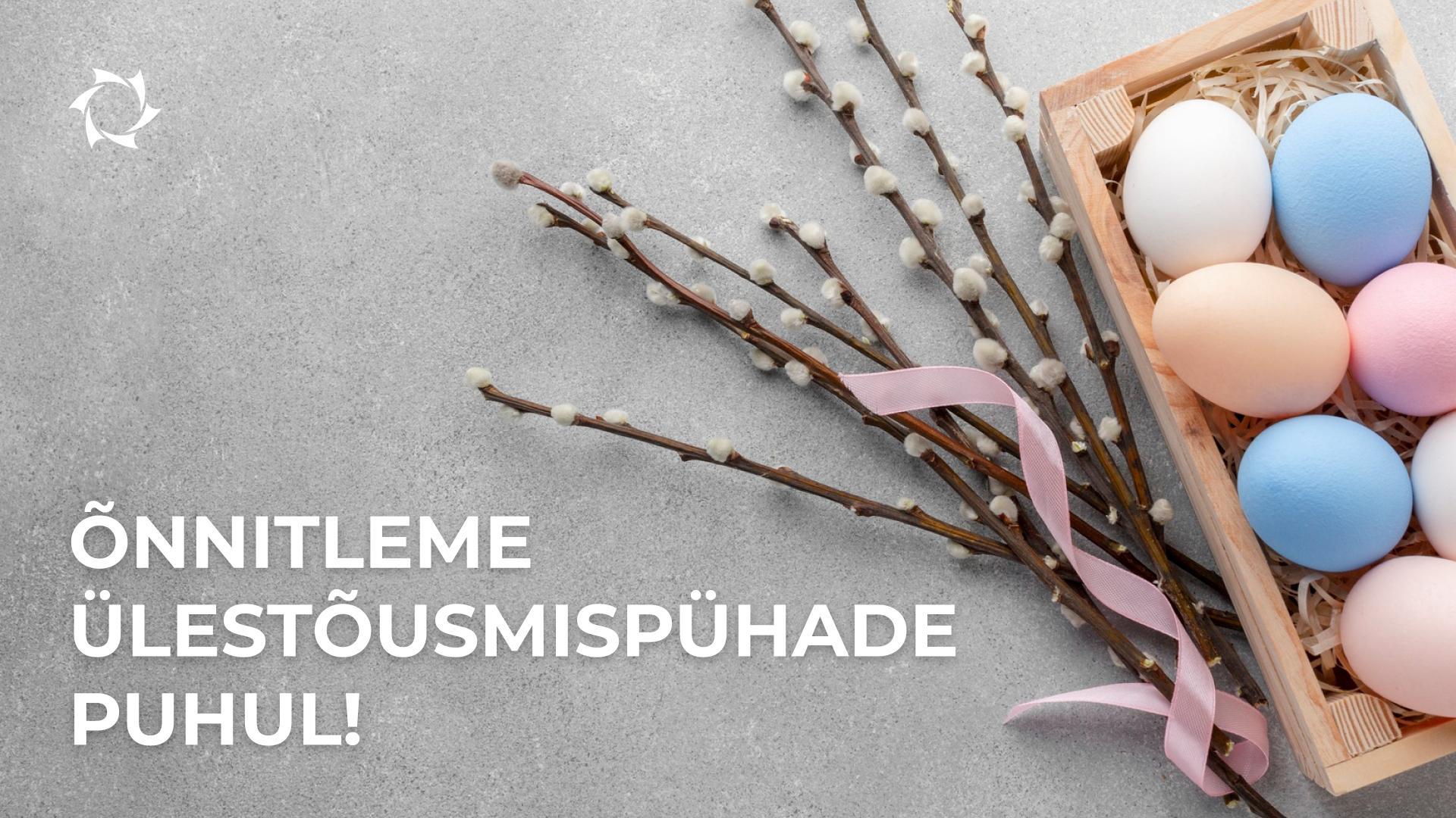 Kingime promokoodi väärtusega 100$, et tunda kindlust tuleviku suhtes!