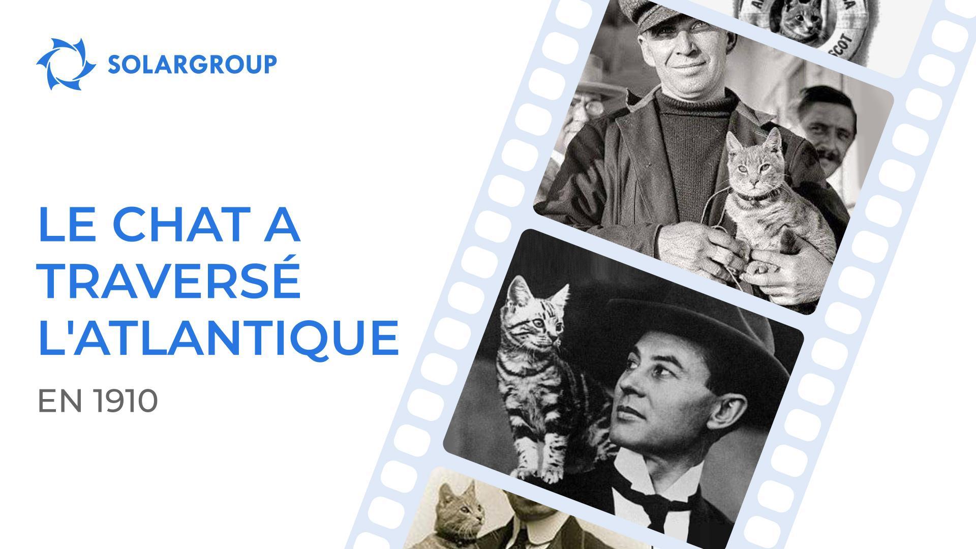 Comment un chat a volé sur un dirigeable