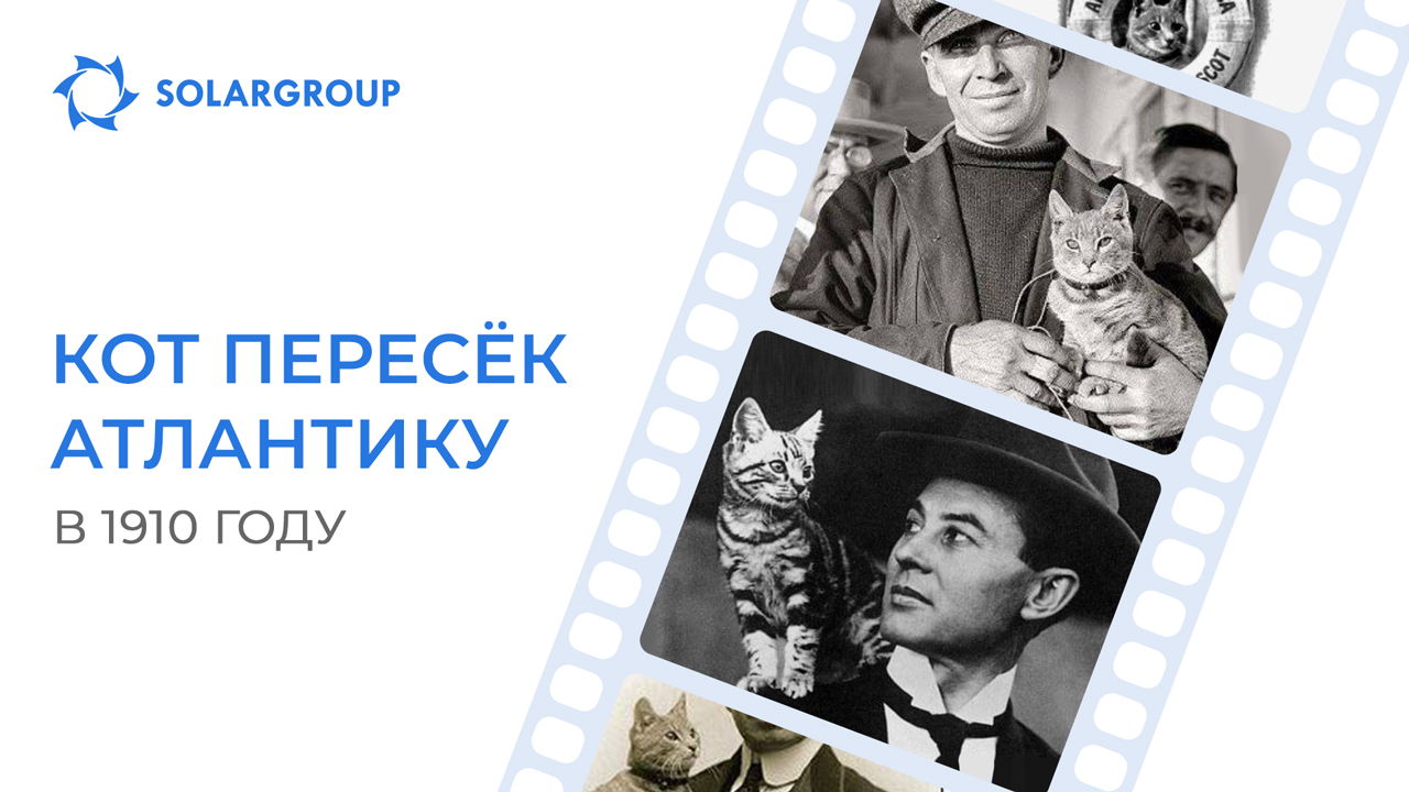 Как один кот на дирижабле летал
