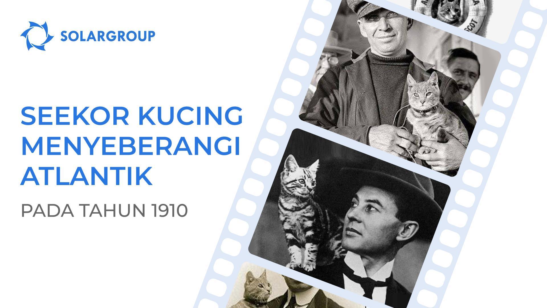 Seekor kucing yang pernah terbang di atas kapal udara