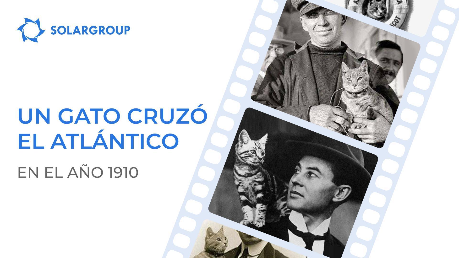 Cómo un gato voló en in dirigible